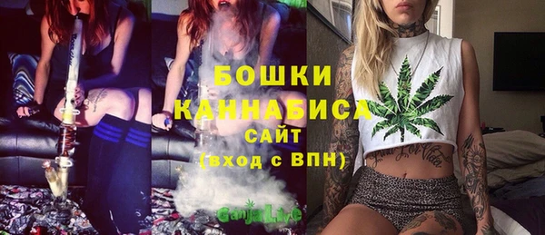 стаф Волоколамск