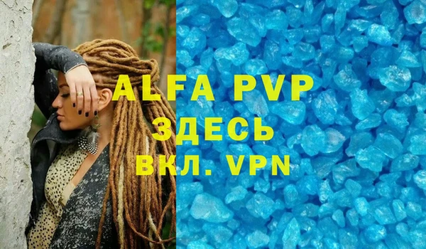 стаф Волоколамск