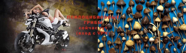 метадон Верея