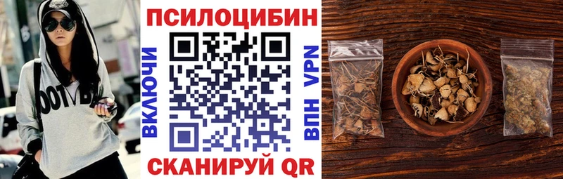 Купить где  Гурьевск  Галлюциногенные грибы Cubensis 