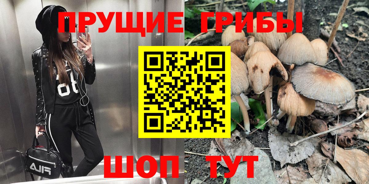Псилоцибиновые грибы ЛСД Гурьевск
