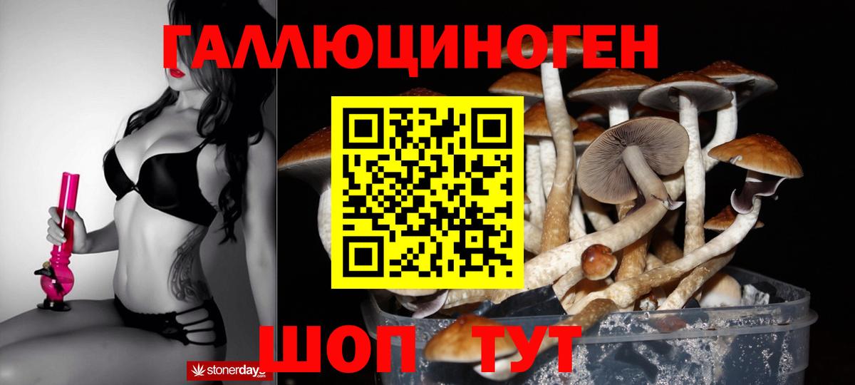 Псилоцибиновые грибы Magic Shrooms  Вход с VPN  Гурьевск  Галлюциногенные грибы прущие грибы 