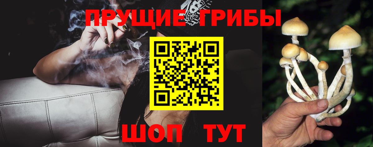 Галлюциногенные грибы мухоморы  Гурьевск 